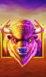 Buffalo King