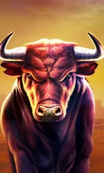 Black Bull